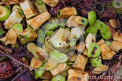 The rest of the diced green and rotten apples Stock Photo