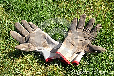 Rest after hard work - two gloves enjoying sunbath Stock Photo