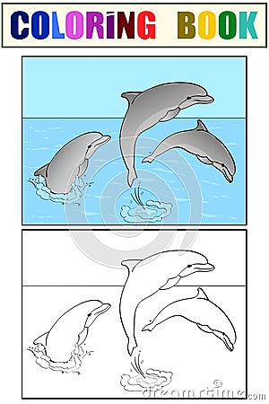 Rest on the sea, three dolphins play in the water. Book coloring and color for children Vector Illustration