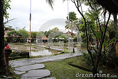 Restaurant with rice paddy view after plowing the field Stock Photo