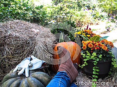 Resting at the end of a busy fall day. Stock Photo