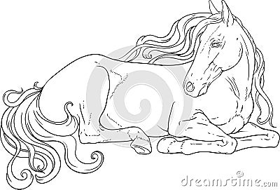 Resting horse with curly tail and mane. Vector Illustration