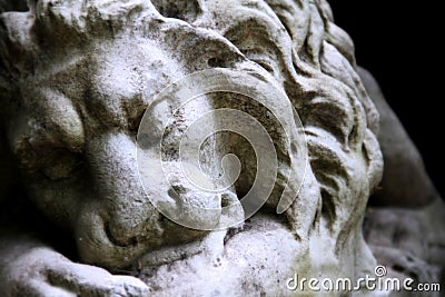 Resting Lion Stock Photo