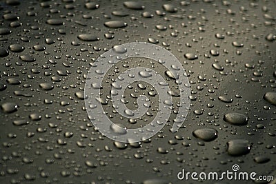 Resting rain droplets Stock Photo