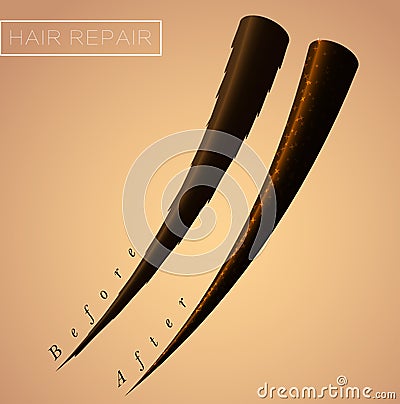 Restore split ends of hair. Result after salon cosmetic procedure. Vector Illustration