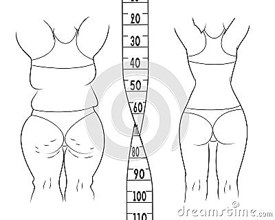 The result before and after a diet. Fat and slim woman. Vector Illustration