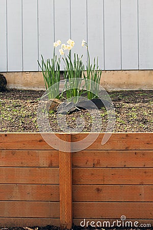 Retaining Wall made of wood Stock Photo