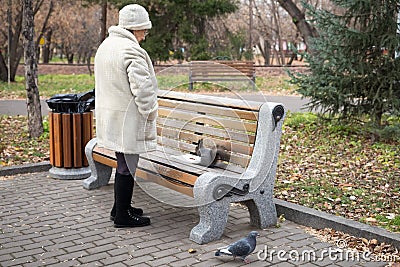 Retired woman is feeding a squirrel and pigeons in the park, standing near the bench, in the autumn Editorial Stock Photo