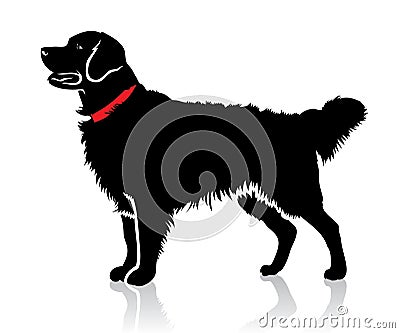 Retriever dog Vector Illustration