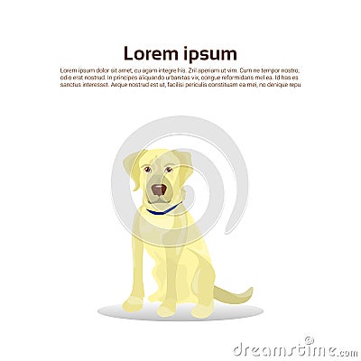 Retriever Dog Icon Of Labrador Isolated On White Background With Copy Space Vector Illustration