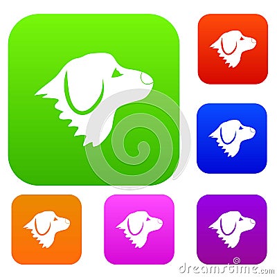 Retriever dog set collection Vector Illustration