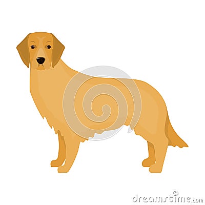 Retriever single icon in cartoon style.Retriever vector symbol stock illustration web. Vector Illustration