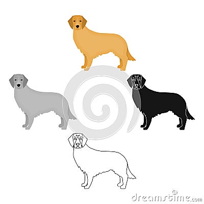 Retriever single icon in cartoon style.Retriever vector symbol stock illustration web. Vector Illustration