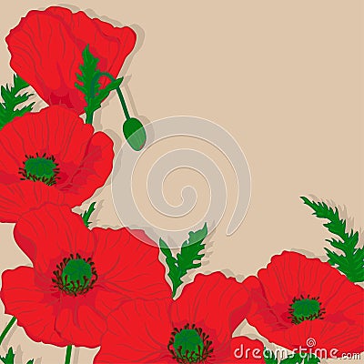 Red poppies Stock Photo