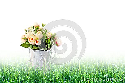 Retro bicycle with basket of pink flowers roses on fresh green grass with dewdrops on light background. Concept Valentine`s day, Stock Photo