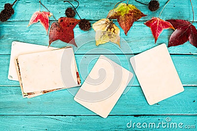 Retro camera and empty old instant paper photo album on wood table with maple leaves in autumn border design Stock Photo