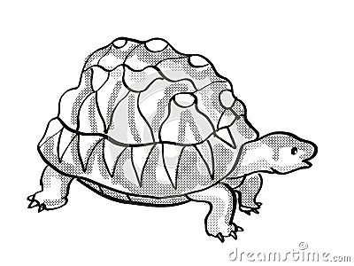 Radiated Tortoise Endangered Wildlife Cartoon Mono Line Drawing Stock Photo