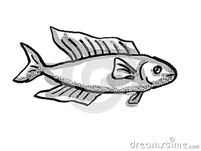 Butterfish New Zealand Fish Cartoon Retro Drawing Stock Photo