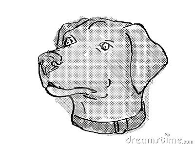 Blue Lacy Dog Breed Cartoon Retro Drawing Stock Photo