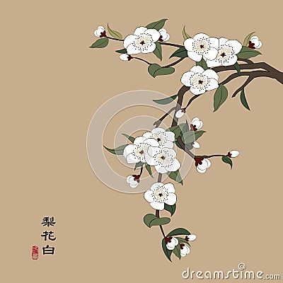 Retro colorful Chinese style vector illustration white pear blossom flower Vector Illustration