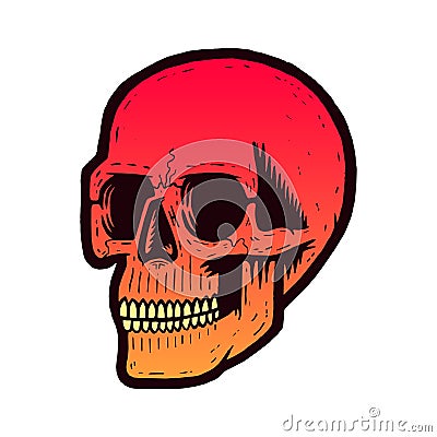 Retro colorful skull. Vector Illustration