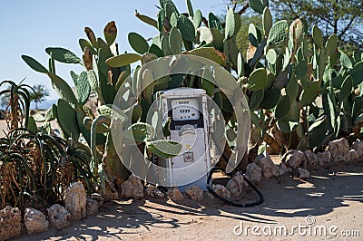 Retro Gas Pump with Cactus in a Desert Landscape in Namibia Editorial Stock Photo