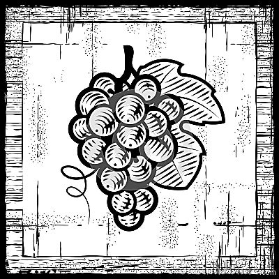 Retro grapes bunch black and white Vector Illustration