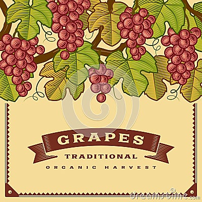 Retro grapes harvest card Vector Illustration