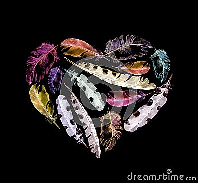 Retro heart - bird feathers. Vintage watercolor at black background for Valentine day Stock Photo