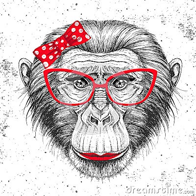 Retro Hipster animal monkey. Hand drawing Muzzle of animal chimpanzee. Girl of 60s Vector Illustration