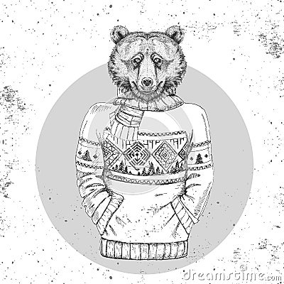 Retro Hipster fashion animal bear dressed up in pullover. Vector Illustration