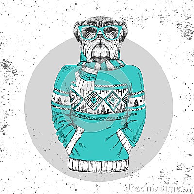Retro Hipster fashion animal bulldog dressed up in pullover. Vector Illustration