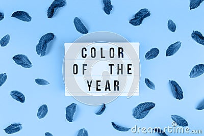 Retro lightbox with Color of the year wording and toned mint leaves random pattern on the trendy solid blue backdrop Stock Photo