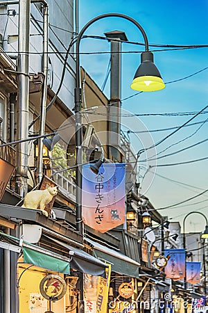 Retro old-fashionned shopping street Yanaka Ginza famous as a spectacular spot for sunset and also named the Evening Village. Editorial Stock Photo