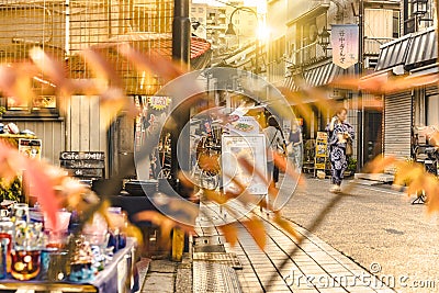 Retro old-fashionned shopping street Yanaka Ginza famous as a spectacular spot for sunset golden hour from the Yuyakedandan stairs Editorial Stock Photo