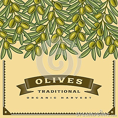 Retro olives harvest card Vector Illustration