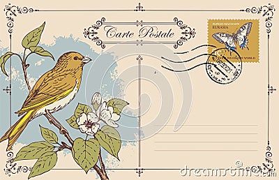 Retro postcard with a bird on a flowering tree Vector Illustration