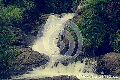 Retro style dreamy photo of a beautiful cascade waterfall hidden in a forest. Nature background. Kaiate Falls, Bay of Stock Photo
