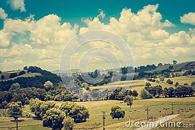 Retro style photo of a country landscape with a herd of cows grazing in a pasture on a sunny summer afternooon. Stock Photo