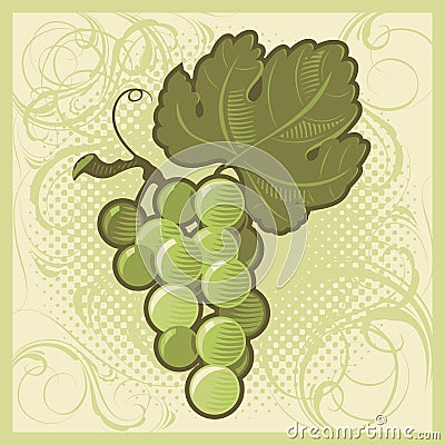 Retro-styled green grape bunch Vector Illustration