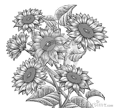 Retro Sunflower elements Vector Illustration