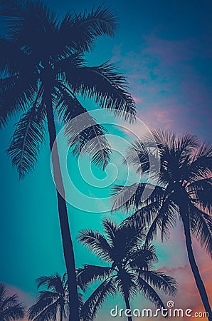 Retro Sunset Hawaii Palm Trees Stock Photo