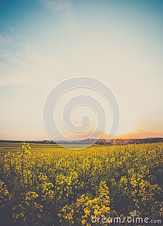 Retro sunset landscape Stock Photo