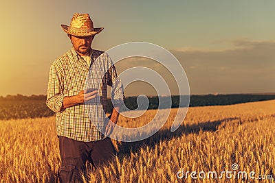 Retro toned image of agronomist farmer using mobile phone Stock Photo