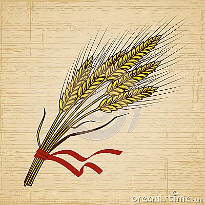 Retro Wheat Vector Illustration