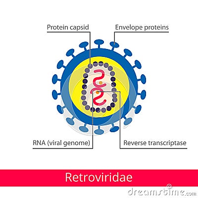 Retroviridae. Classification of viruses. Vector Illustration