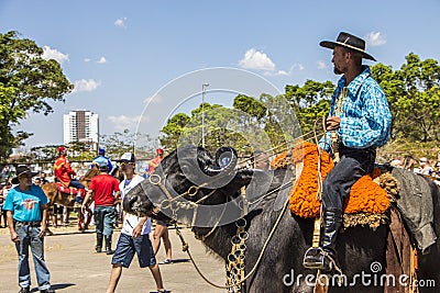 Revelando SÃ£o Paulo - Sao Paulo's state Traditional Culture Festival Editorial Stock Photo