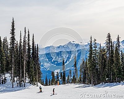 REVELSTOKE, CANADA - MARCH 17, 2021: People skiing in mountain forest scenic landscape dressed in winter sport jackets Editorial Stock Photo