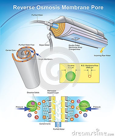 Reverse Osmosis Vector Illustration