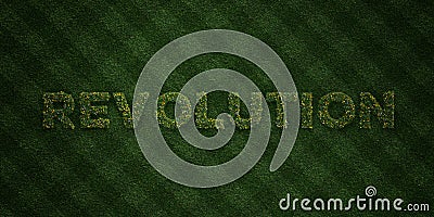 REVOLUTION - fresh Grass letters with flowers and dandelions - 3D rendered royalty free stock image Stock Photo